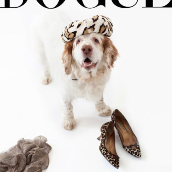 Elegant Silk Vince Office Dress - Picture 2 of 10